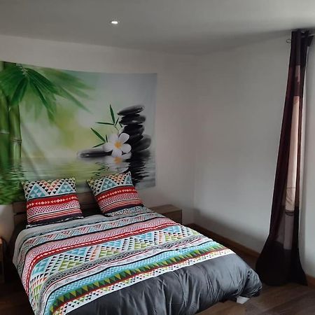 T3 Hyper-Centre Au Calme Tout Equipe Parking Prive Apartment Castres  Bagian luar foto