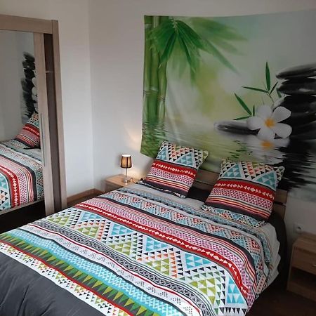 T3 Hyper-Centre Au Calme Tout Equipe Parking Prive Apartment Castres  Bagian luar foto
